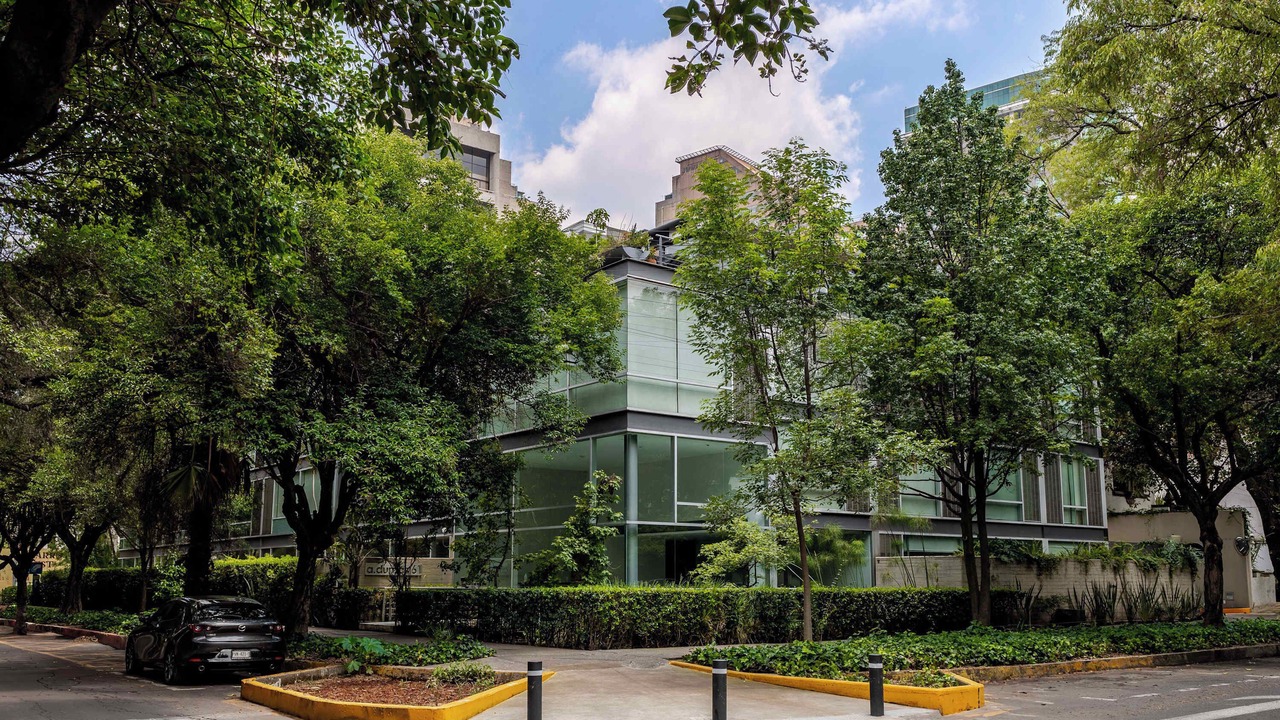 Photo of Outdoor in Polanco