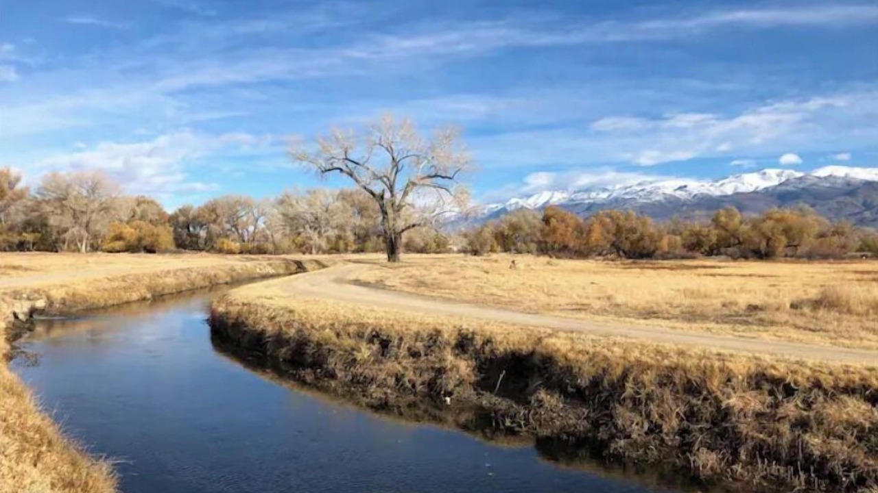 Photo of Others in Bishop