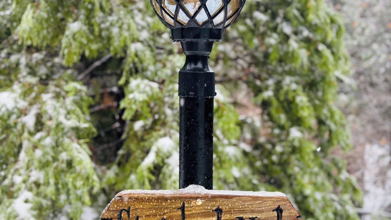 Photo of Others in Lake Arrowhead