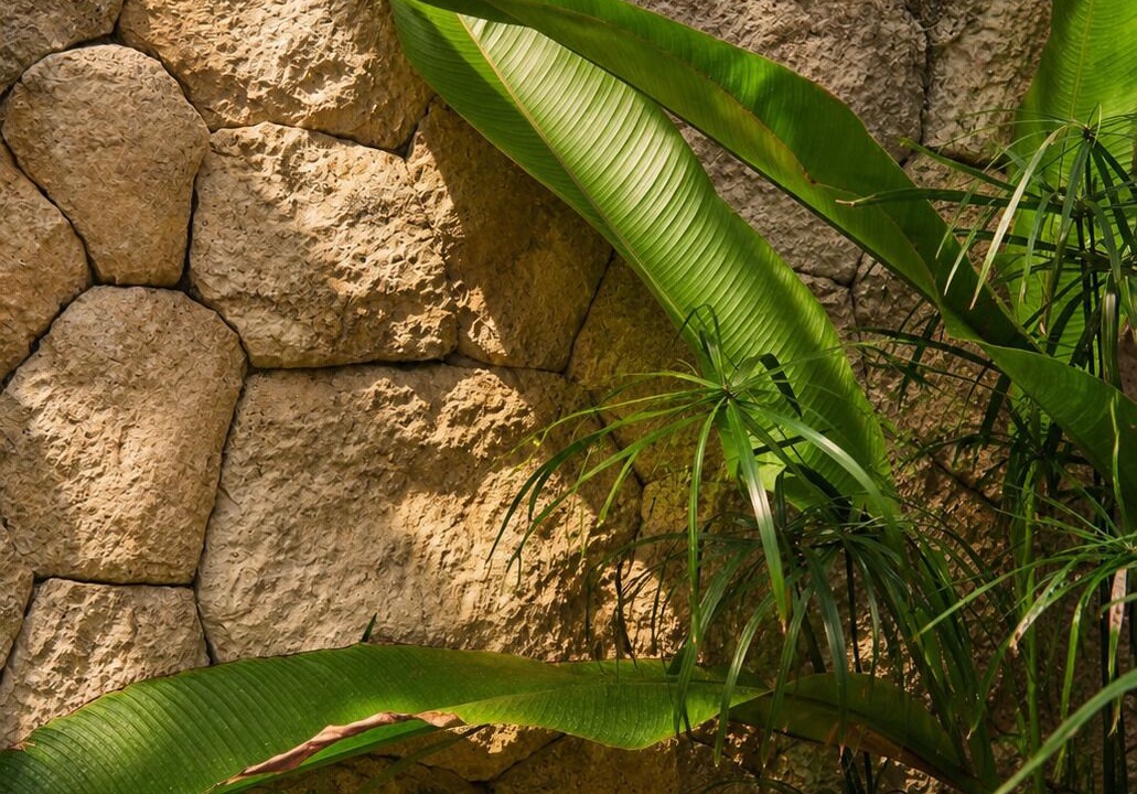 Photo of Others in Tulum