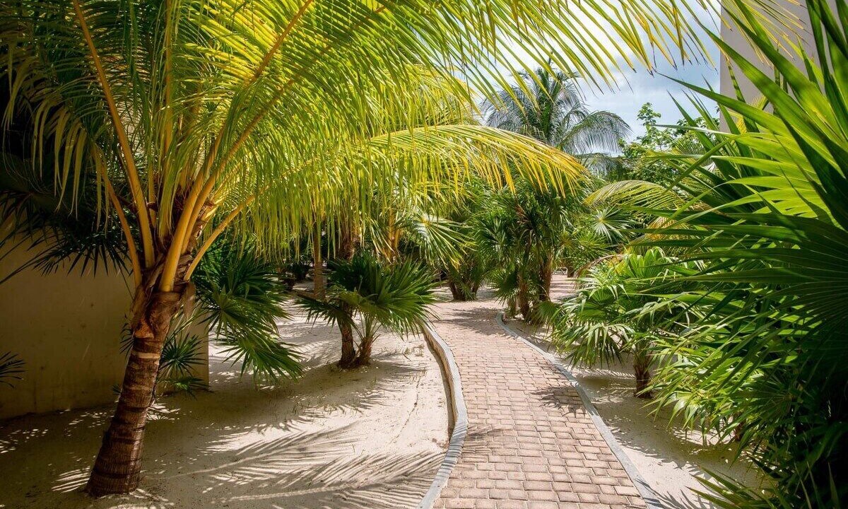 Photo of Outdoor in Merida