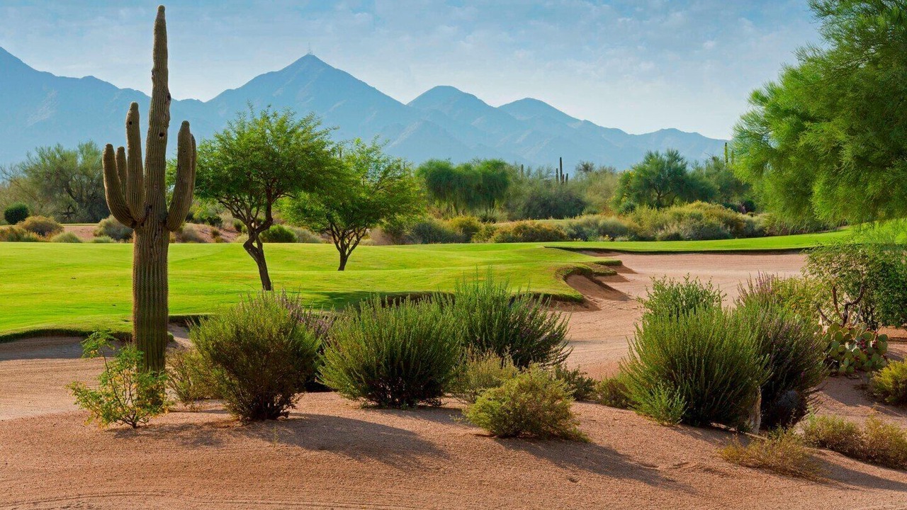 Photo of Others in Desert Ridge