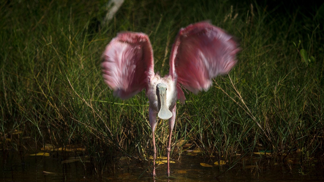 Photo of Outdoor in Isla Holbox