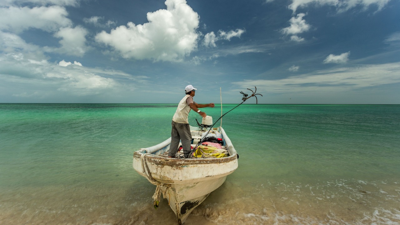 Photo of Others in Isla Holbox
