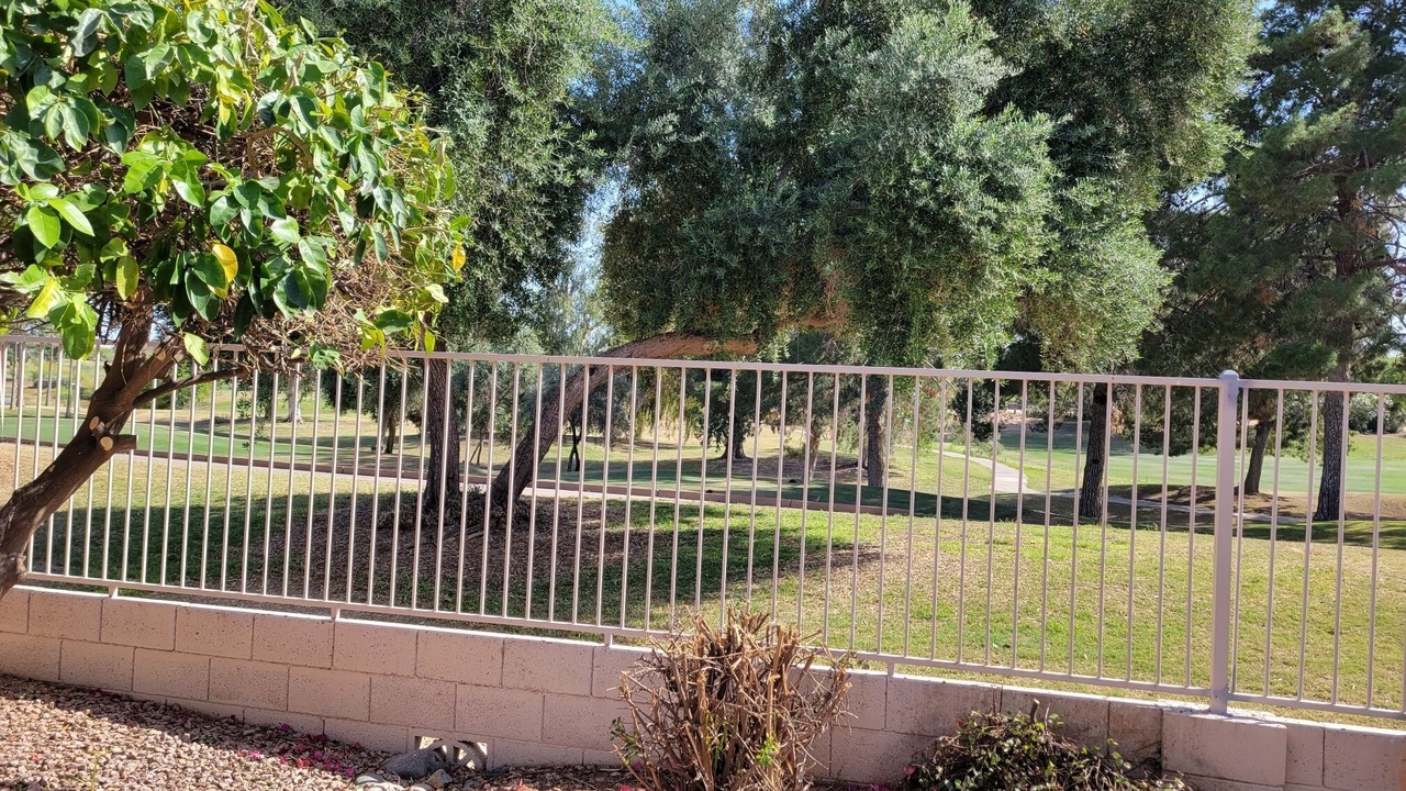 Photo of Outdoor in Superstition Springs