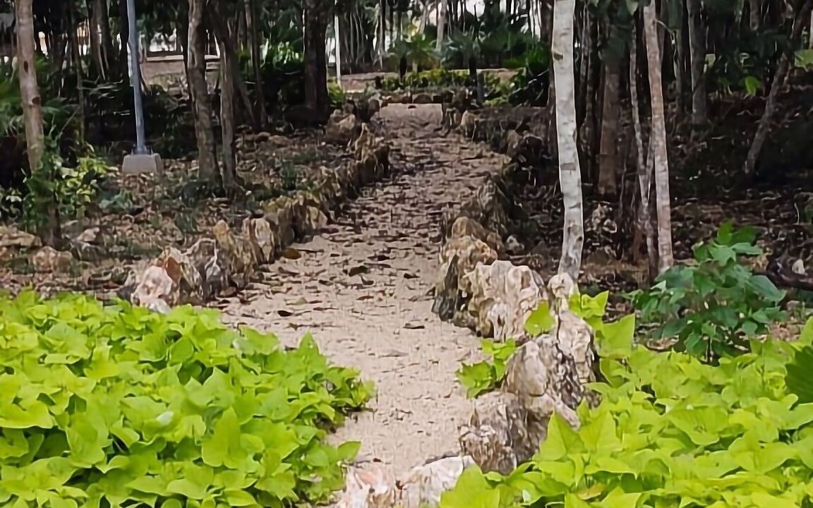 Photo of Outdoor in Cancun