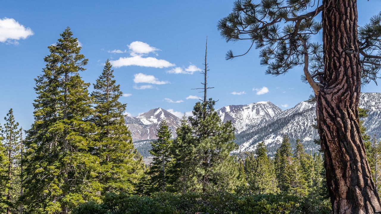 Photo of Patio Balcony in Mammoth Lakes