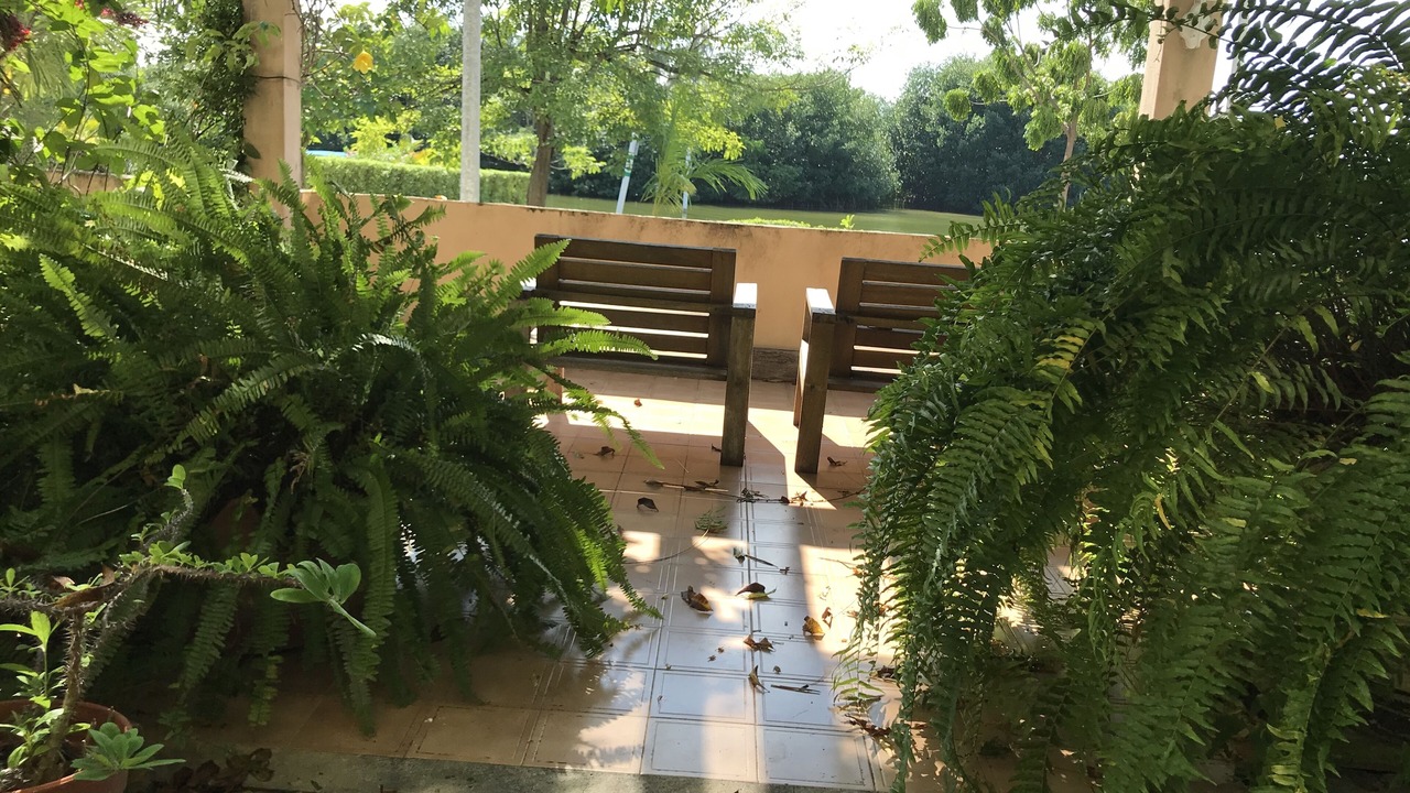 Photo of Outdoor in Zona Hotelera