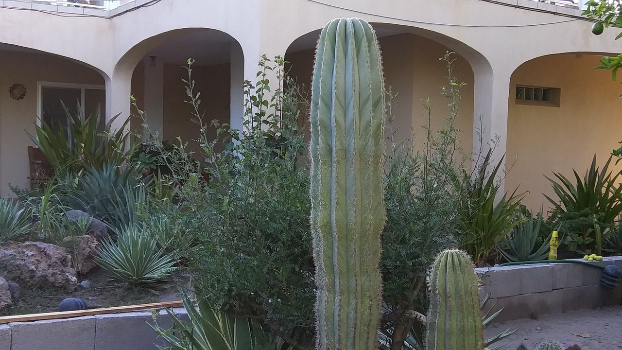 Photo of Outdoor in Loreto