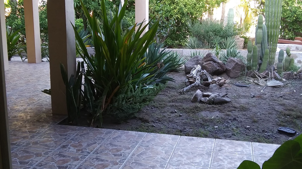 Photo of Outdoor in Loreto