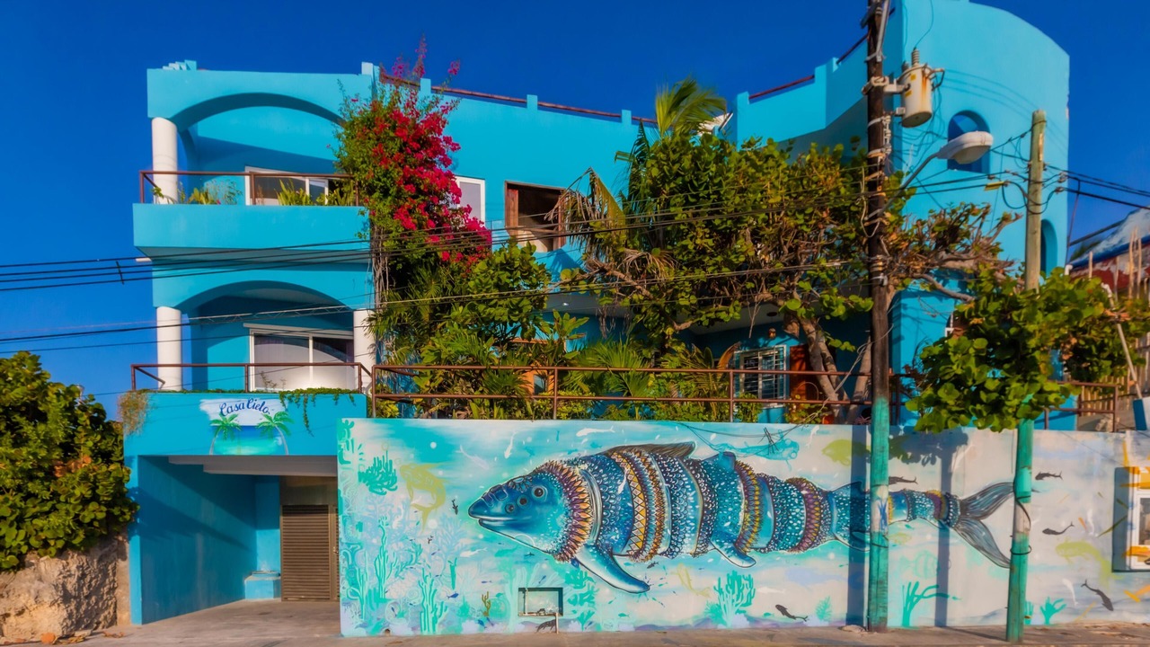 Photo of Outdoor in Isla Mujeres