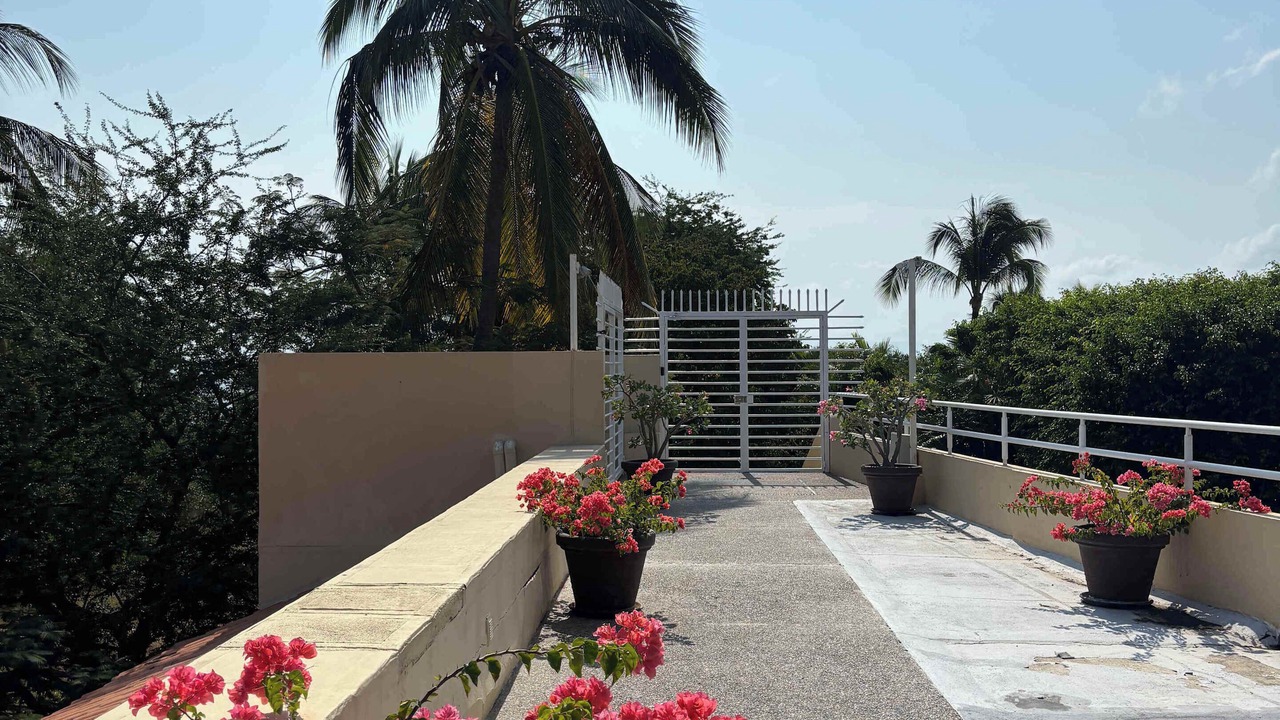 Photo of Others in Punta de Mita