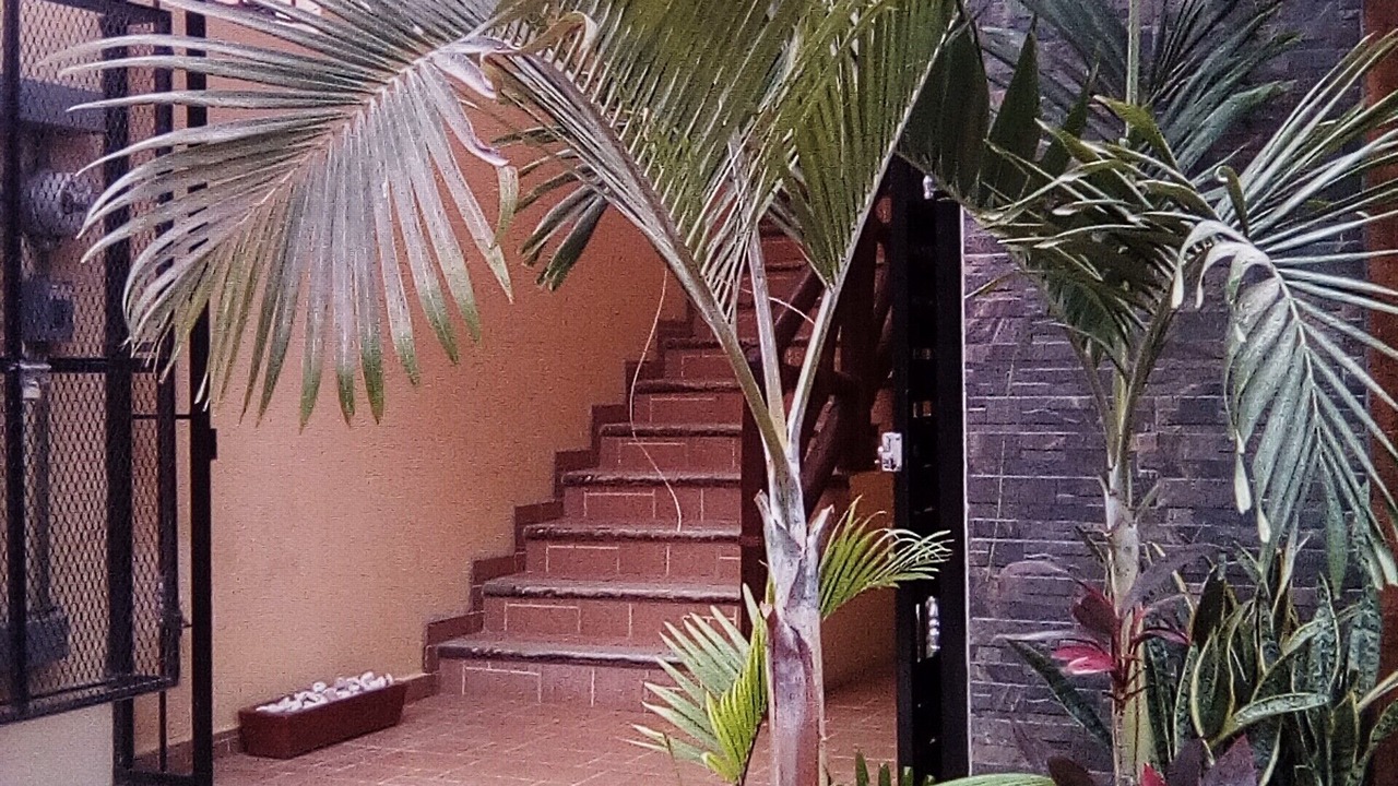 Photo of Outdoor in Boca de Tomatlan
