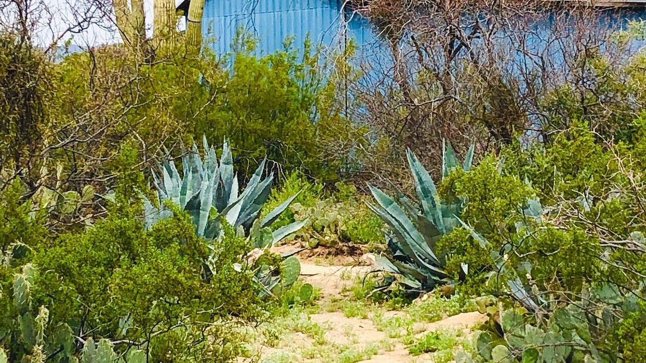 Photo of Outdoor in Picture Rocks