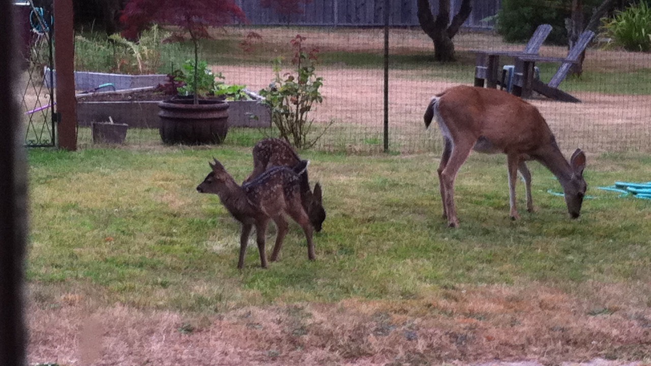 Photo of Others in Mendocino