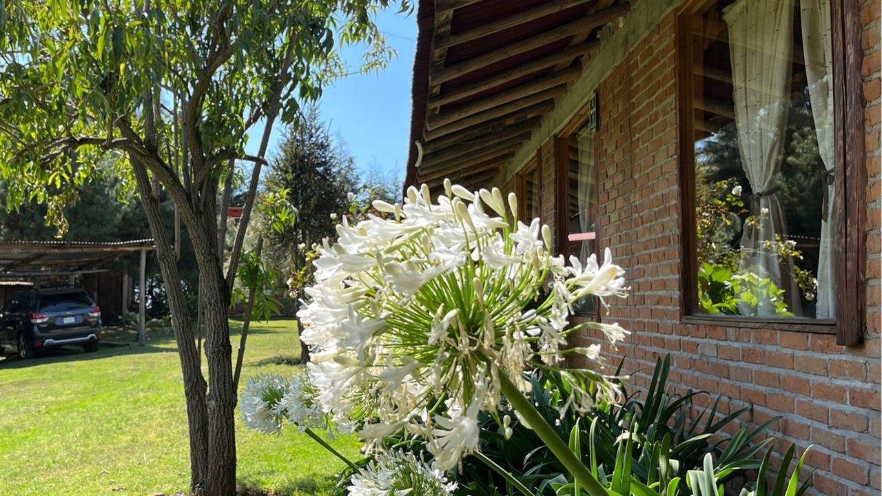 Photo of Outdoor in Valle de Bravo