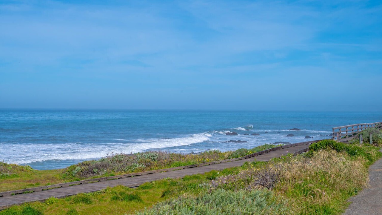 Photo of Others in San Simeon