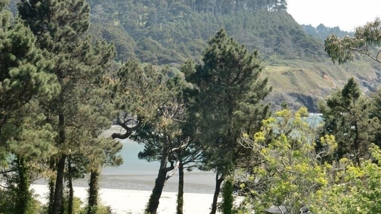 Photo of Others in Mendocino