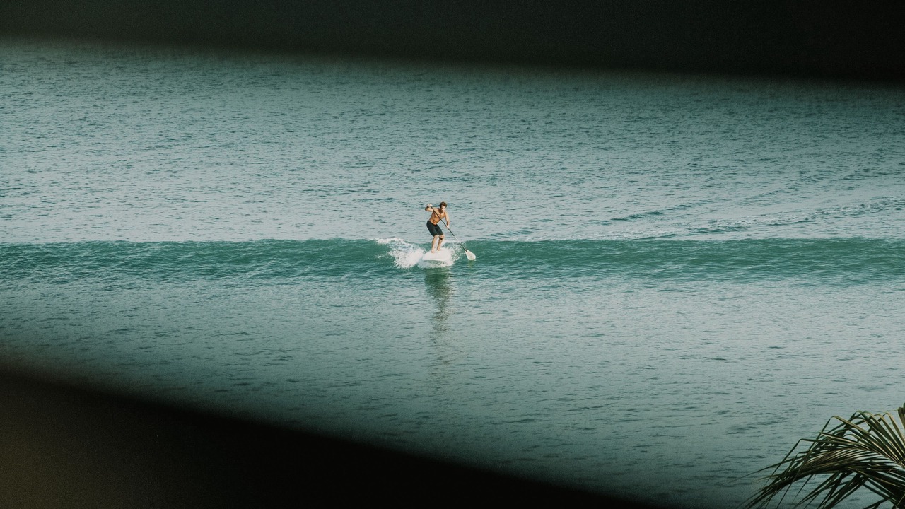 Photo of Others in Punta de Mita