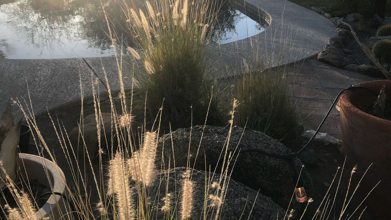Photo of Outdoor in Pinnacle Peak