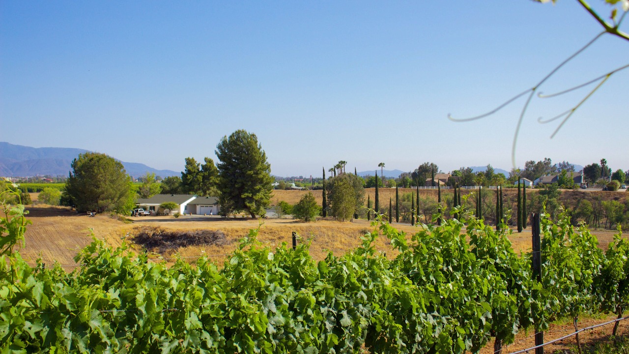 Photo of Others in Temecula
