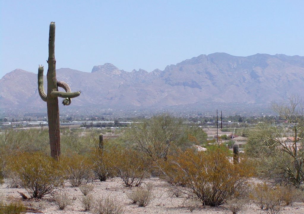 Photo of Others in Tucson