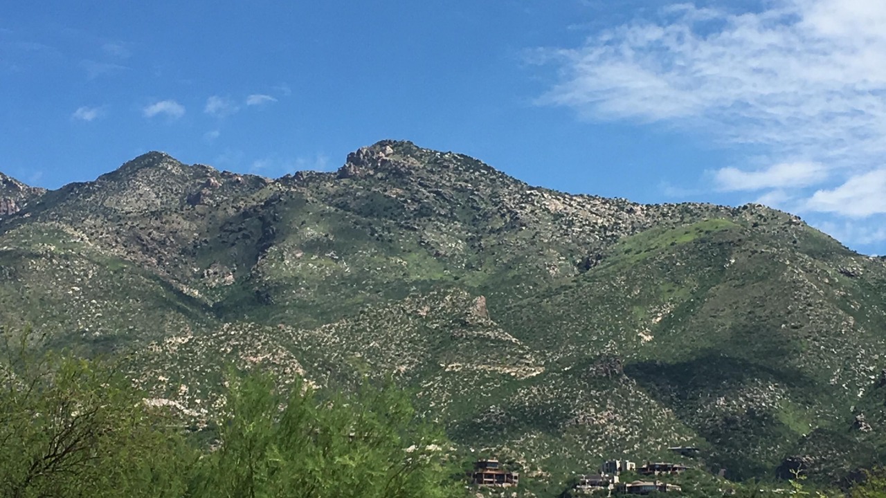 Photo of Others in Tucson