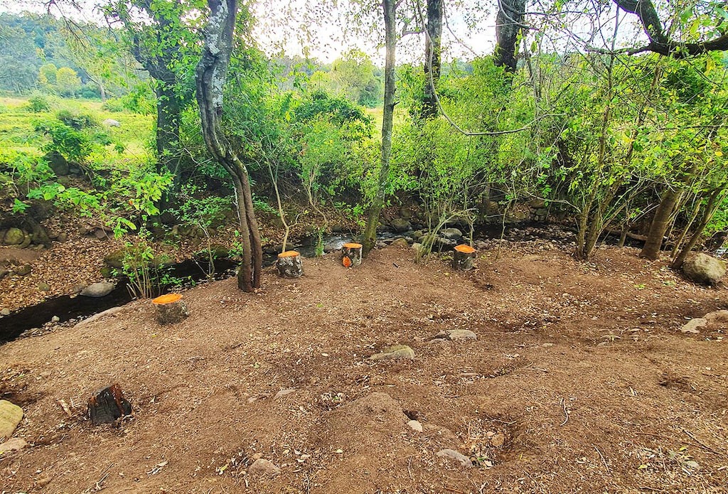 Photo of Others in Senguio