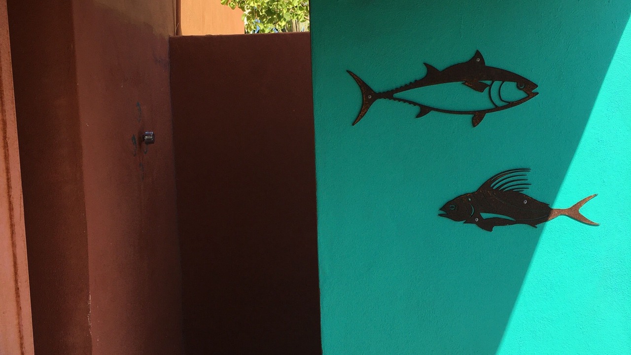 Photo of Outdoor in Cabo Pulmo