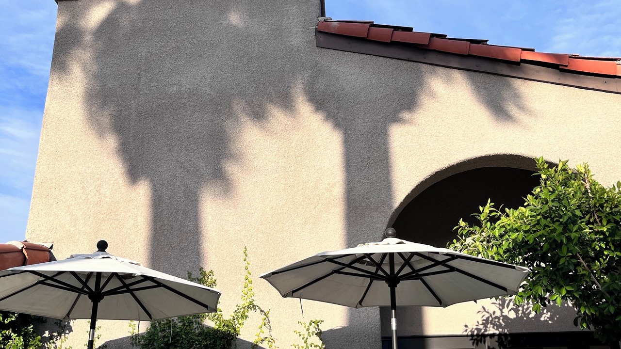 Photo of Outdoor in The Morrison