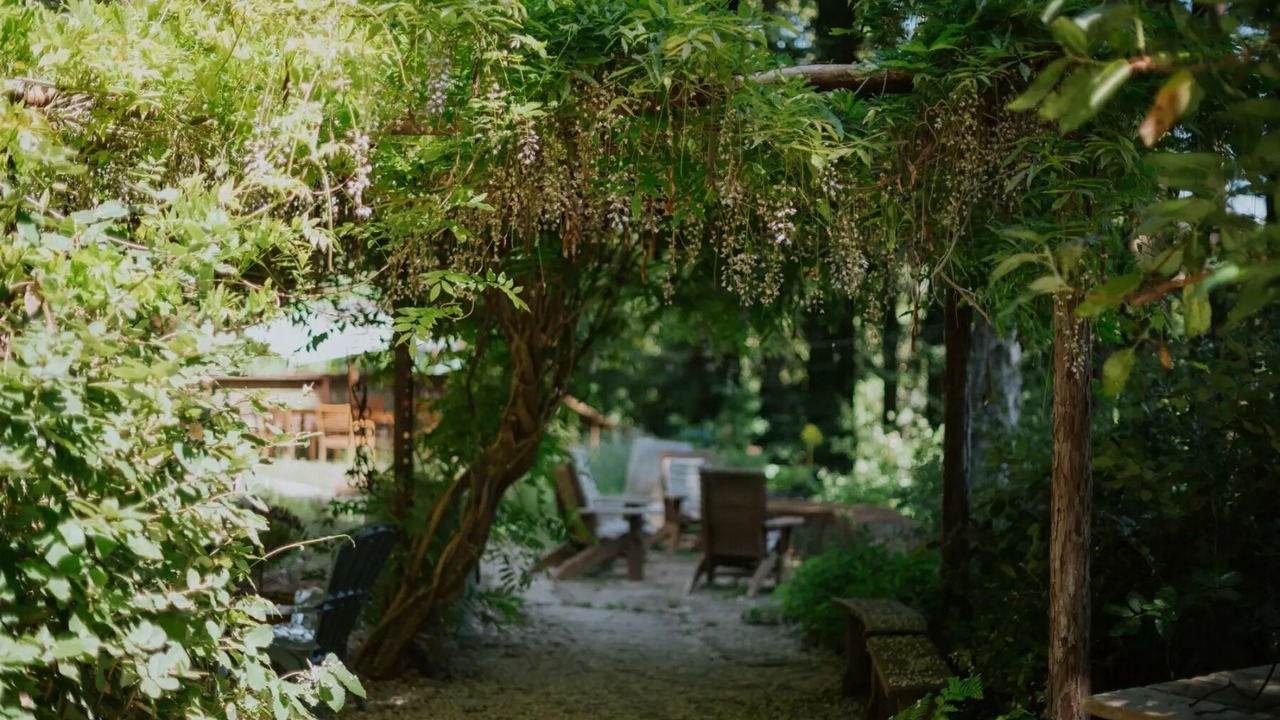 Photo of Outdoor in Felton