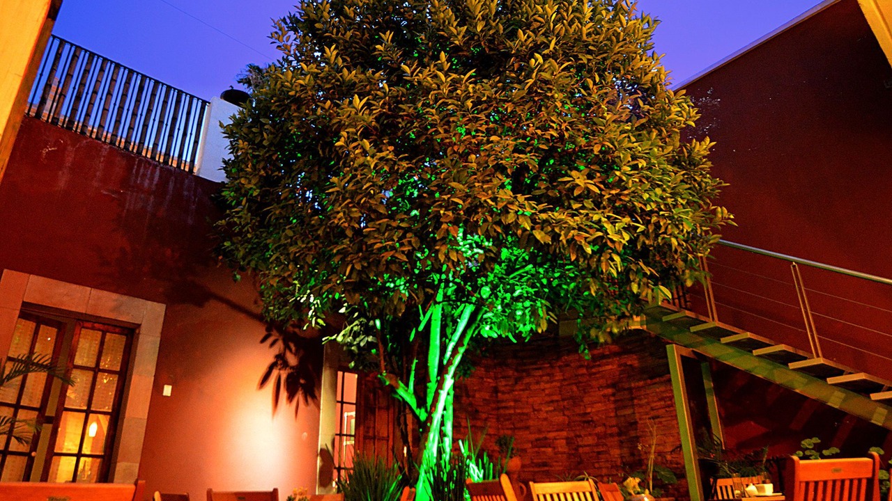 Photo of Outdoor in Downtown Queretaro