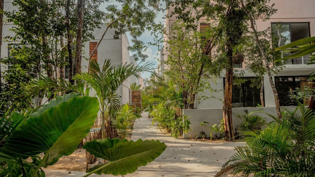 Photo of Outdoor in Tulum
