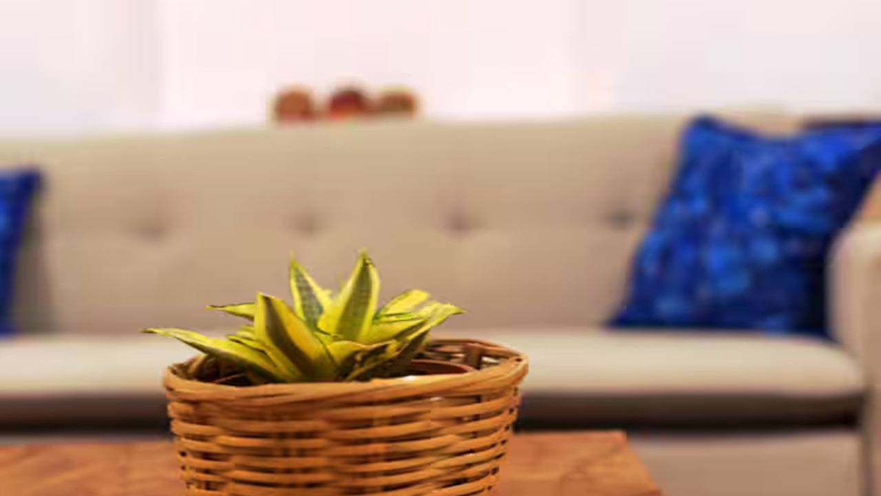 Photo of Livingroom in Centro