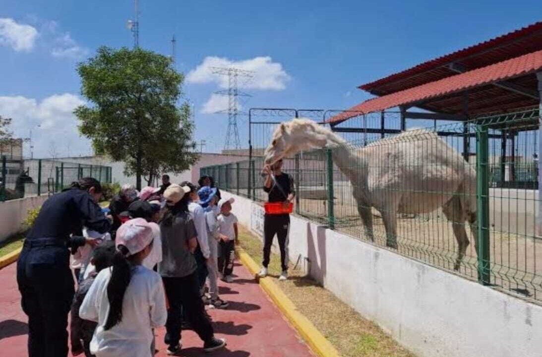 Photo of Others in Tizayuca