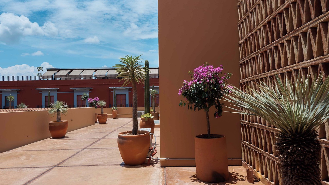 Photo of Outdoor in Centro