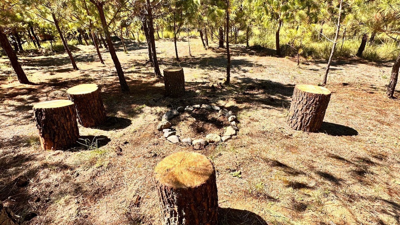 Photo of Outdoor in Omitlan de Juarez
