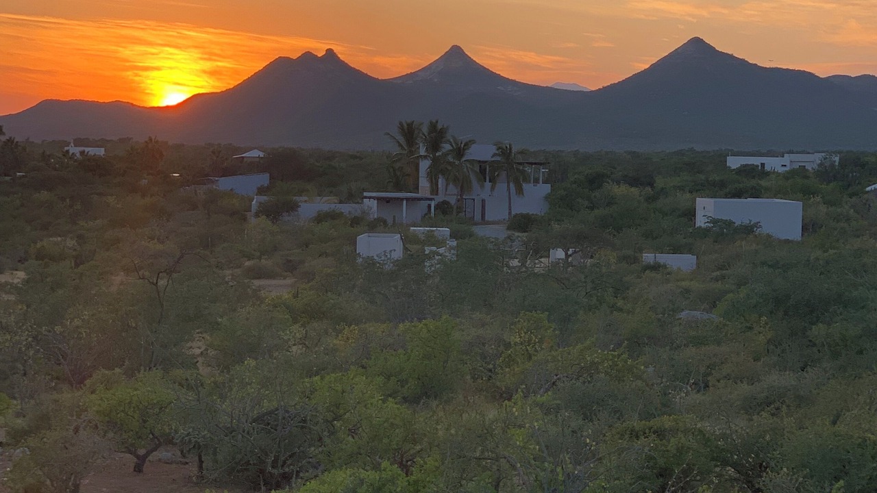 Photo of Others in Los Zacatitos