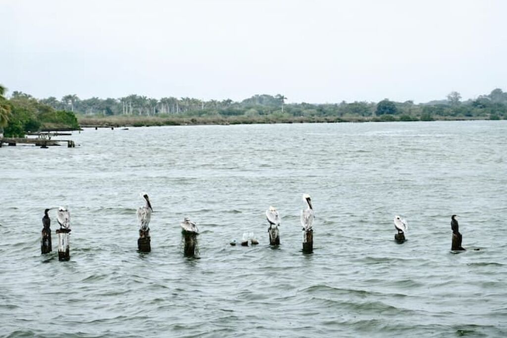 Photo of Others in Barra de Cazones