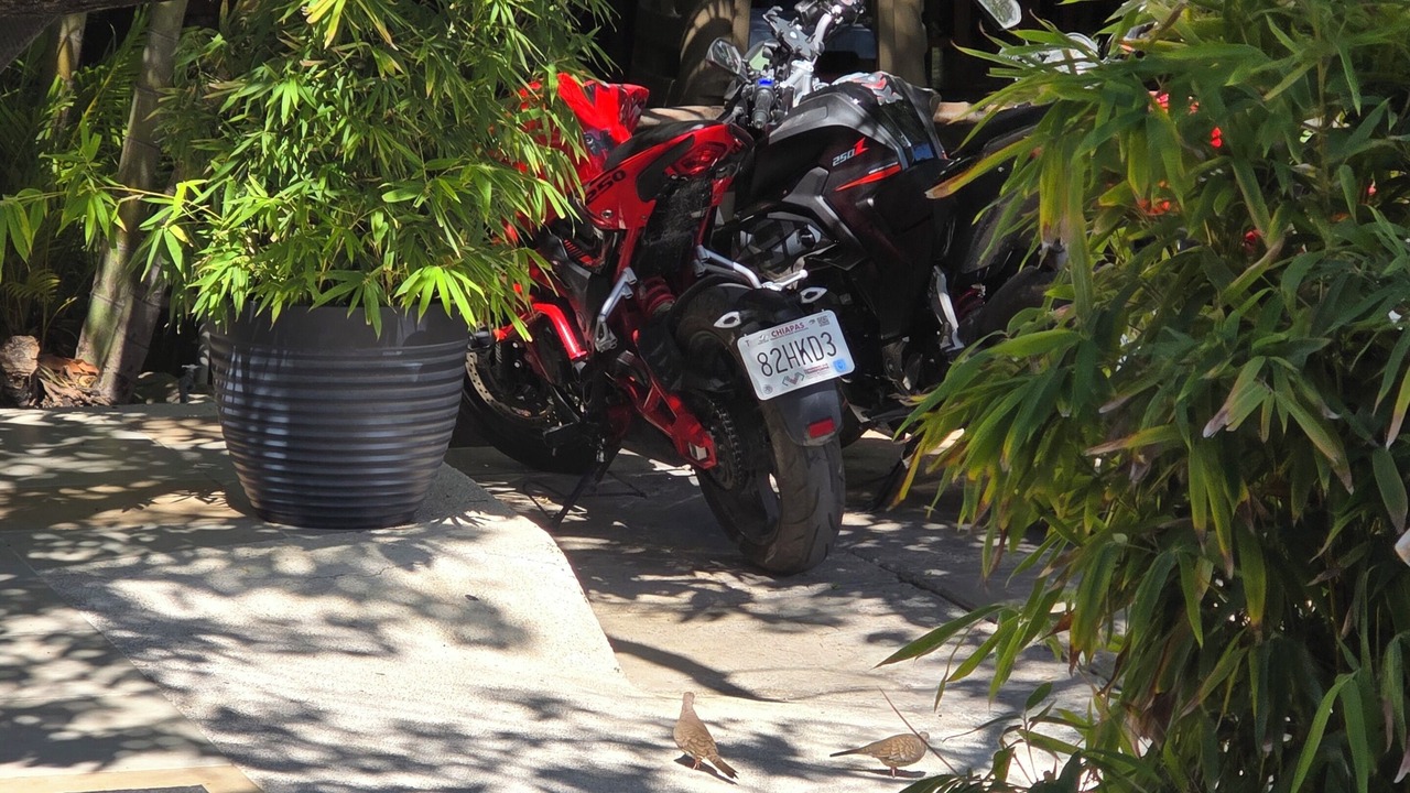 Photo of Outdoor in Tuxtla Gutierrez