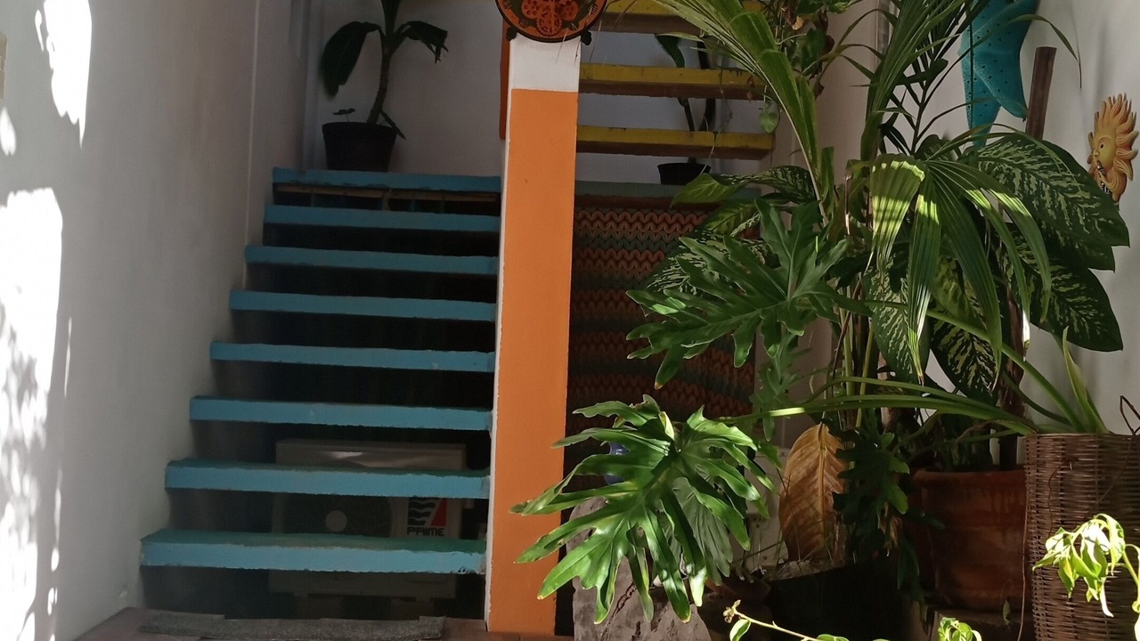 Photo of Others in Isla Holbox