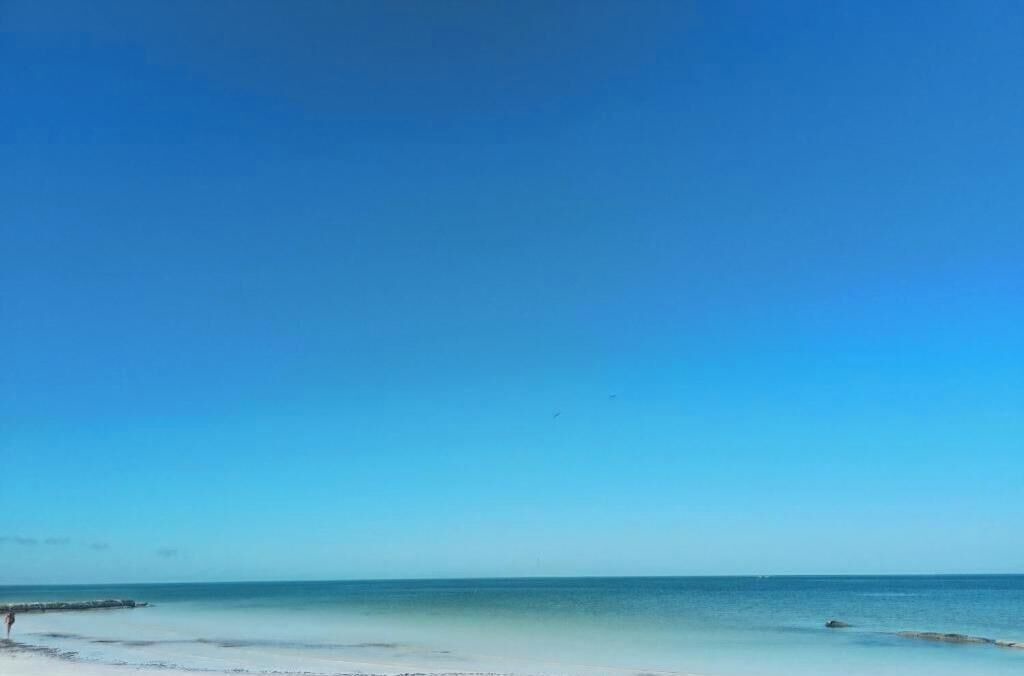 Photo of Others in Isla Holbox