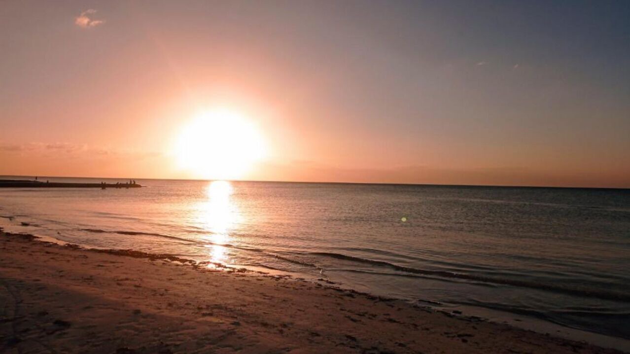 Photo of Others in Isla Holbox