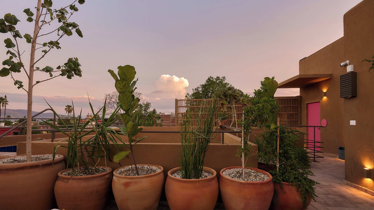 Photo of Outdoor in Ruta Independencia
