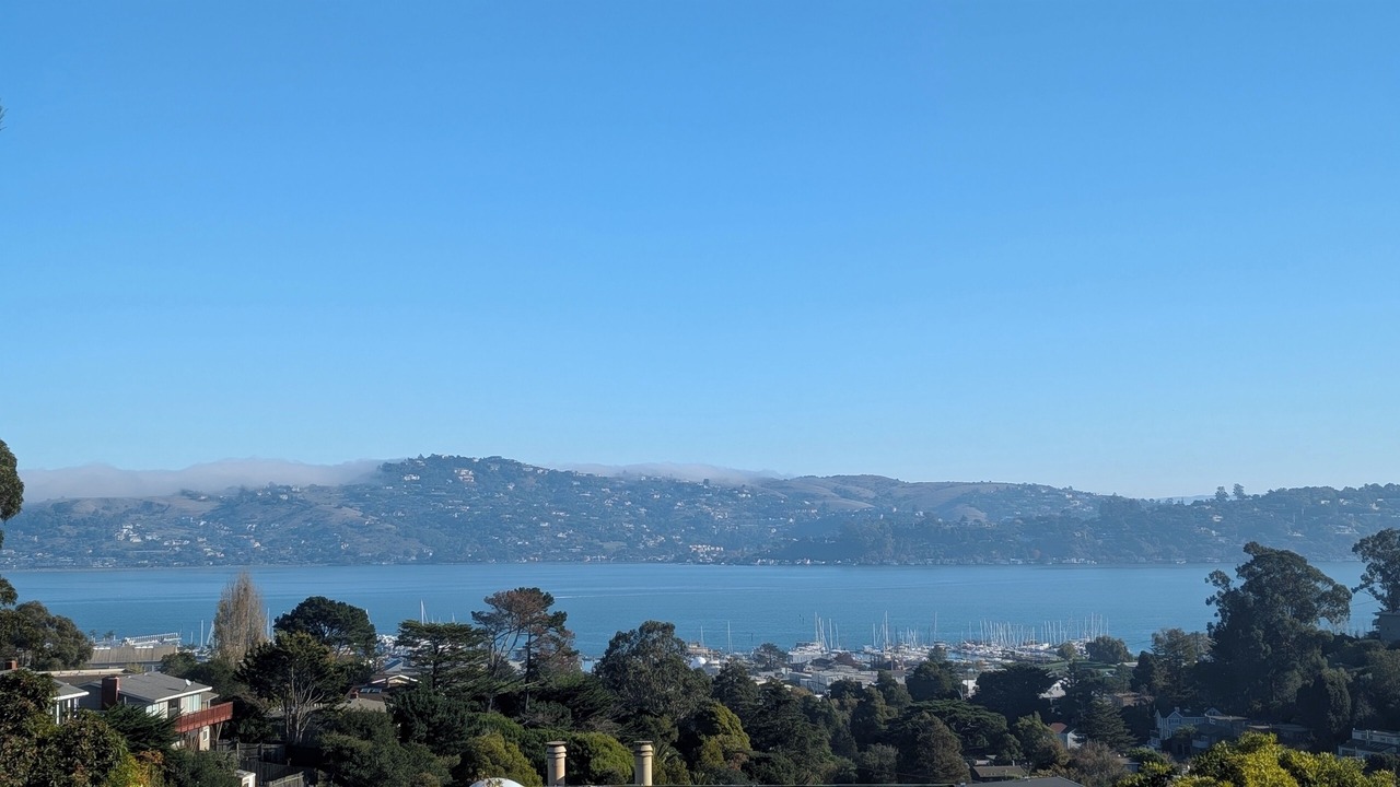 Photo of Others in Marin City