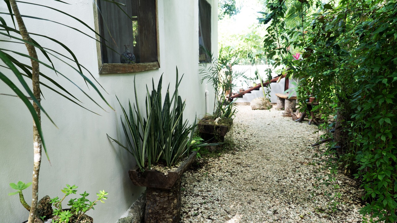 Photo of Outdoor in Solferino