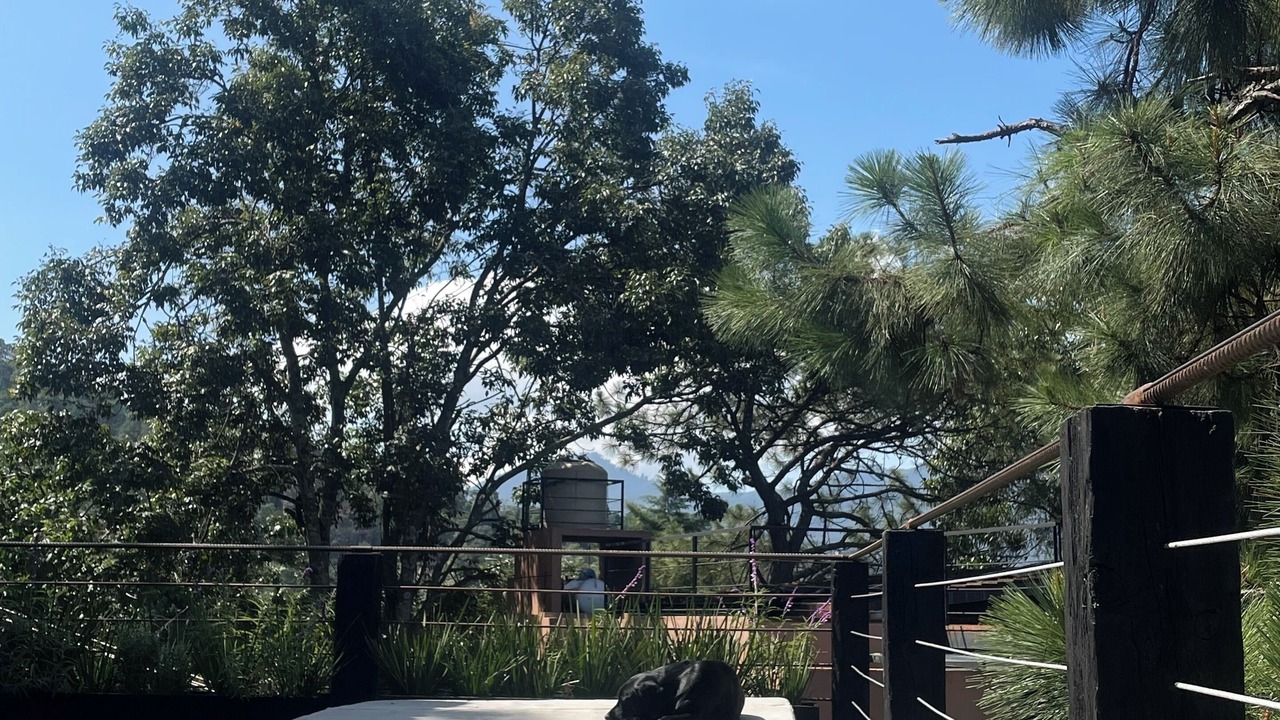 Photo of Patio Balcony in Monte Alto