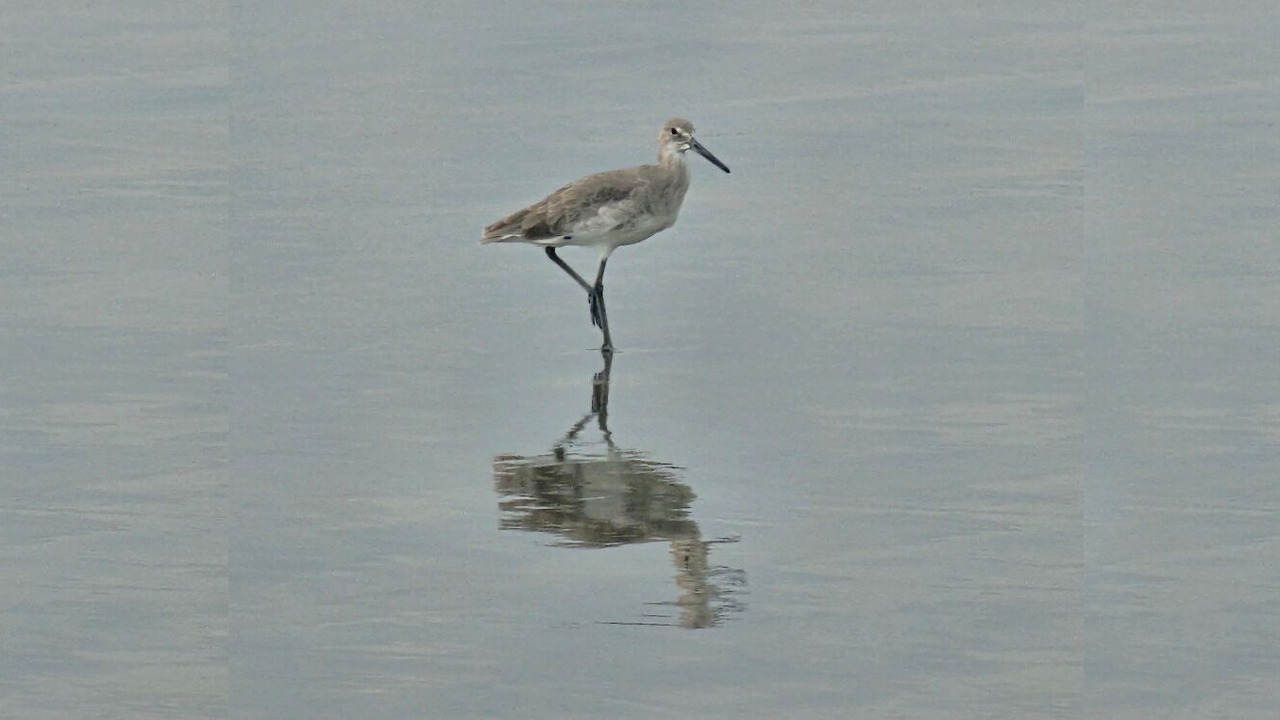 Photo of Others in Playa Diamante