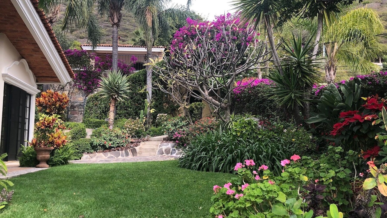 Photo of Outdoor in Ajijic