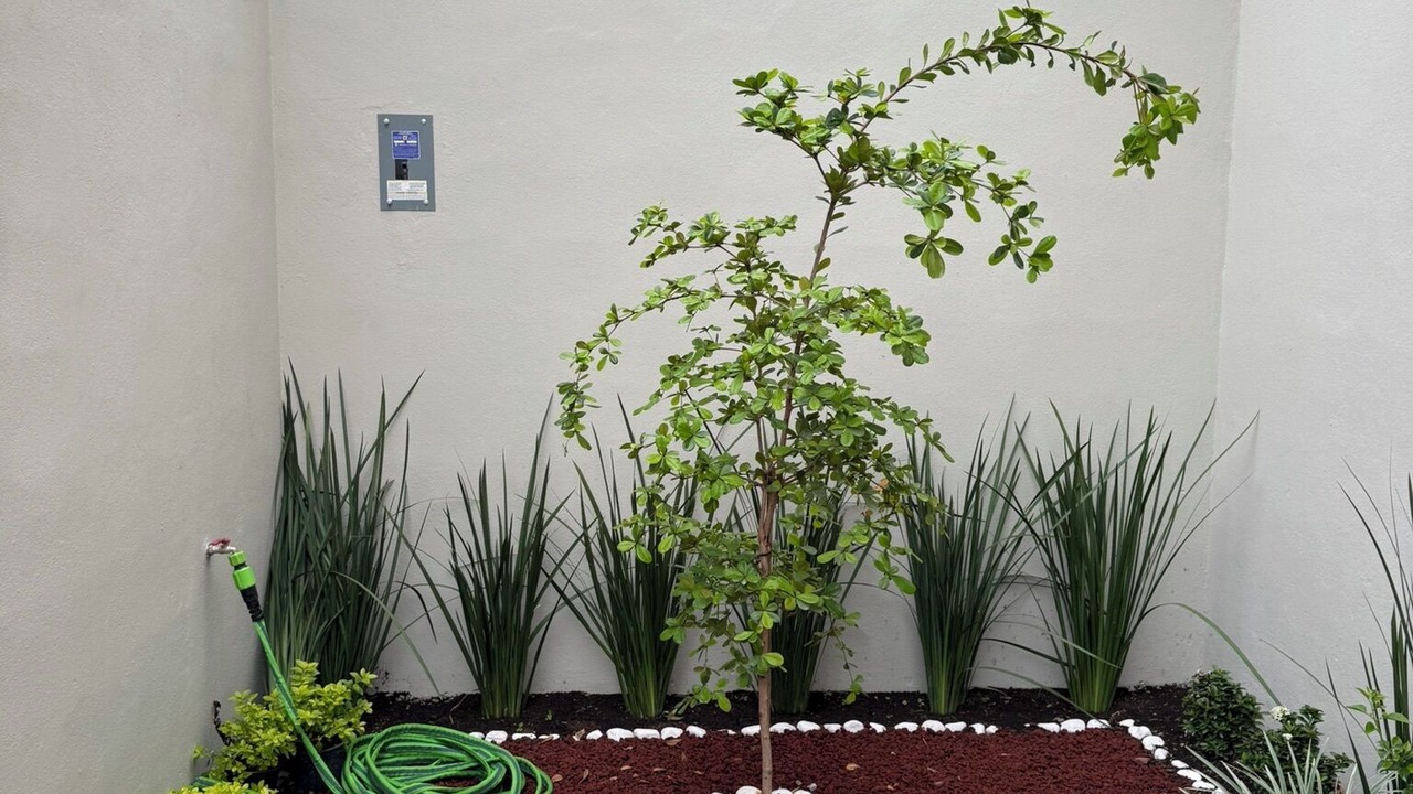 Photo of Outdoor in Ciudad Valles